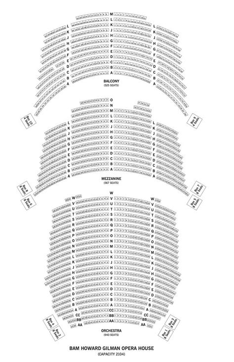 Laurie Anderson Brooklyn Setlist – BAM Howard Gilman Opera .